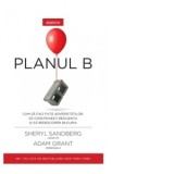 Planul B - Sheryl Sandberg, Adam Grant, Irina Brates