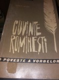 CUVINTE ROMINESTI SORIN STATI O poveste a vorbelor