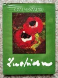 Album Arta Luchian - Ioan Alexandru, Editura Meridiane, 1978, Romana, 24x32 cm