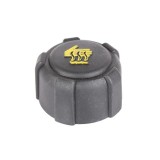 Buson vas expansiune Dacia Logan 11301 BK56101 / 8200048024