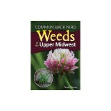 Common Backyard Weeds of the Upper Midwest