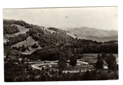 PIATRA CRAIULUI SERPENTINE MUNTII APUSENI foto