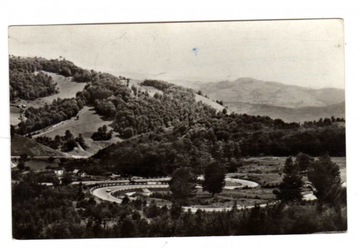 PIATRA CRAIULUI SERPENTINE MUNTII APUSENI