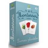 Lumea plantelor