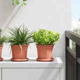 vidaXL Tavă rotundă pentru flori 6 pcs Roșu cărămidă &Oslash; 14 x 2 cm 42020299