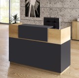 Cumpara ieftin Receptie Lotus stejar - Gri inchis 180x70x110cm