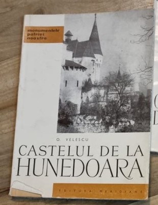 Oliver Velescu - Castelul de la Hunedoara foto