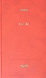 CASTELUL-FRANZ KAFKA-260458