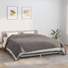 VidaXL Pătură cu greutăți, gri, 200x260 cm, 11 kg, material textil