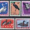 Congo RD 1963 - Păsări protejate, MNH