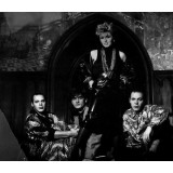 Vinil Flying Foxes &lrm;&ndash; Flying Foxes (VG++)