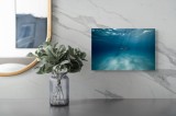 Tablou Canvas Rechin Albastru &ndash; Artă Marină Contemporană, 39 x 26 cm, CMCLASS