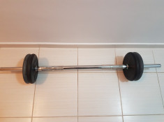 haltera 27kg foto