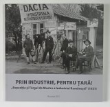 PRIND INDUSTRIE, PENTRU TARA ! de CORNEL CONSTANTIN ILIE , 2015