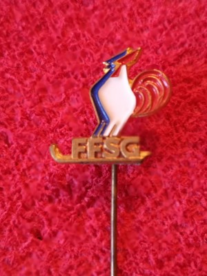 Insigna sport-Hockey - Federatia de Hockey din FRANTA foto