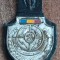 QW8 22 - Insigna - tematica militara - informatii militare - suport de piele