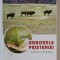ARBORELE PRIETENIEI ROMANO - AFRICANE de GHEORGHE COLT , 2004 , DEDICATIE *