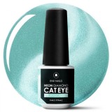 Cumpara ieftin ENII Magnetic gel Neon Diamond Cat Eye - 1. Avocado, 5ml, ENII NAILS