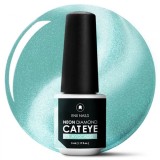 ENII Magnetic gel Neon Diamond Cat Eye - 1. Avocado, 5ml, ENII NAILS