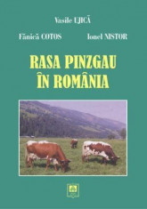 Rasa Pinzgau in Romania foto