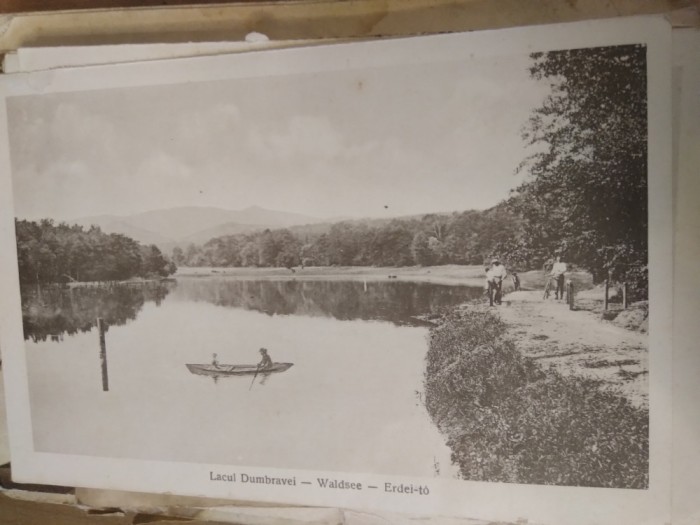 Ilustra Lacul Dumbravei