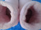 Foto  - 5