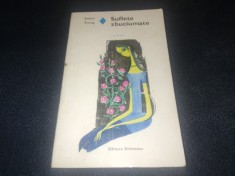 STEFAN ZWEIG - SUFLETE ZBUCIUMATE foto