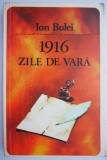 1916 zile de vara &ndash; Ion Bulei