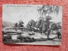 Carte postala, Constantinopole, Eaux douces dEurope, inceput de secol XX