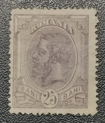 Rom&amp;acirc;nia Lp 51 Spic de gr&amp;acirc;u filigran PR 25 bani nestampilat foto