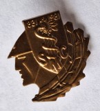 SMC - Spitalul Militar Central din Bucuresti 1831-1981 insigna medicina sanitara