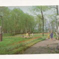 FA48-Carte Postala- RUSSIA- Sankt Petersburg, Gradina de vara, necirculata