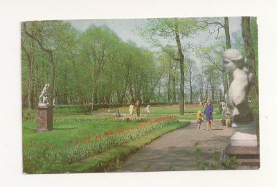 FA48-Carte Postala- RUSSIA- Sankt Petersburg, Gradina de vara, necirculata foto