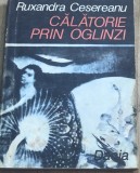 DVP1XLA Ruxanda Cesereanu - Calatorie prin oglinzi