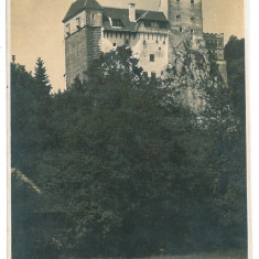 3516 - BRAN, Brasov, Dracula Castle, Romania - old postcard, real PHOTO - unused