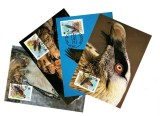 Lesotho 1986 - Fauna WWF, păsări, serie maxime neuzate