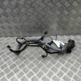 Cablaj ușă st&acirc;nga spate PORSCHE PANAMERA 970 2013 OEM: 97061263921 32391944