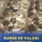 BURSE DE VALORI SI MARFURI - Dan, Popovici