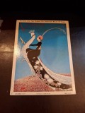 Vogue Magazine Cover Peacock Fashion 1911 Art Deco Original 1960s Card Print - Conde Nast