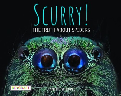 Scurry! the Truth about Spiders foto