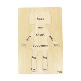 Puzzle Corpul uman - Fata 12 piese), Viga