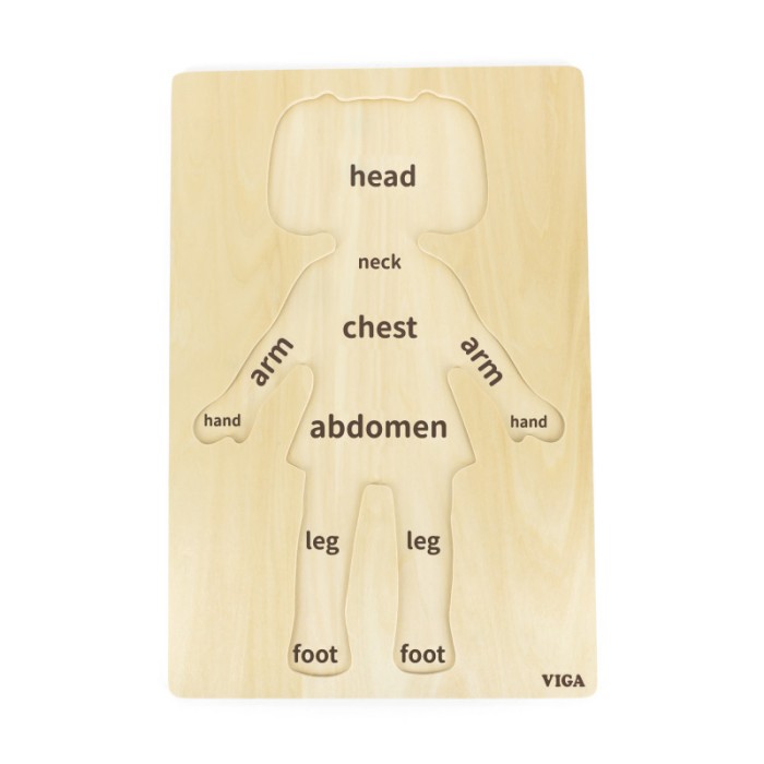 Puzzle Corpul uman - Fata 12 piese), Viga