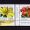 ✅RO 2020 , LP 2310 ,&quot;Flori de iarna&quot; , serie tabs colt stanga jos ,MNH