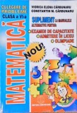 MATEMATICA CULEGERE DE PROBLEME CLASA A VI-A-VIORICA ELENA CARBUNARU, CONSTANTIN M. CARBUNARU-257307
