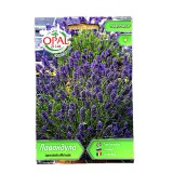 Seminte flori Levantica 0,5 gr, OpalZi Bulgaria