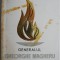Generalul Gheorghe Magheru &ndash; Marin Mihalache