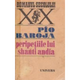 Peripetiile lui Shanti Andia