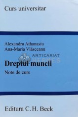Dreptul muncii - 2017 - Ana-Maria Vlasceanu (G95)