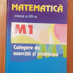 Matematica clasa a XII-a M1 Culegere de exercitii si probleme Marius Burtea