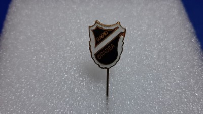 insigna Rapid Oradea foto